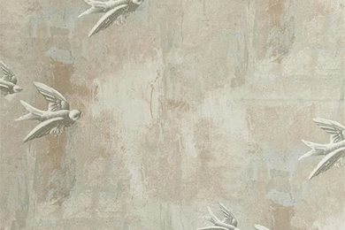 Plaster Wallpapers