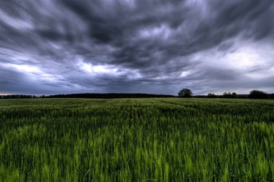 Green Field Under Stormy Sky Germany   1440x900 Wallpapers Download ...