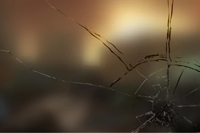 Download Broken Glass Wallpapers 1920x1200