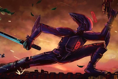 Borderlands 2 Assassin Wallpapers By CodyAWilliams On DeviantArt