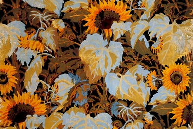 Climbing The Walls   Hammer Museum