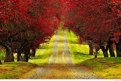 Download Autumn Mountain Wallpapers