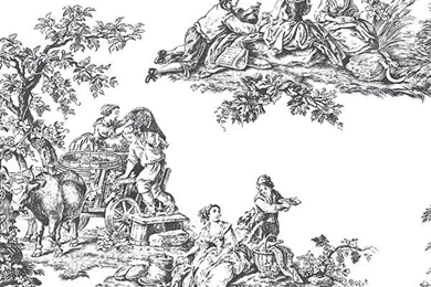 Shop Toile Wallpapers Pattern Products On Houzz