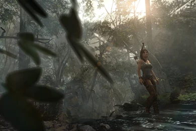 Tomb Raider Everglade Wallpapers For iPad 2