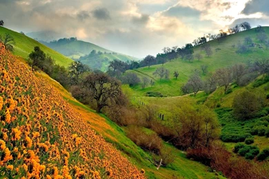 7 Wonders Of The World: Latest Nature Scenery Wallpapers