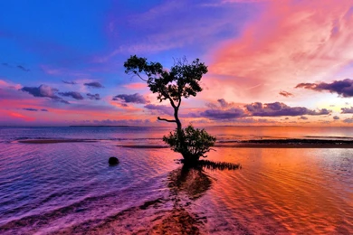 Wallpaper, Hd, Beautiful 02