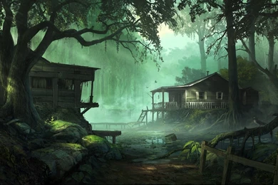 Forest HD Wallpapers House