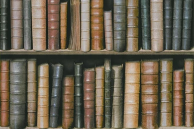 Bookcase Wallpapers Collection (50+)