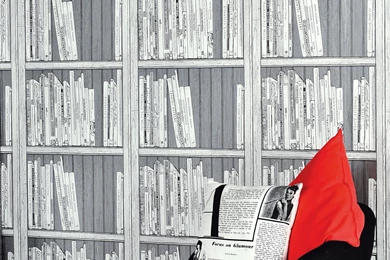 Bookshelves Wallpapers