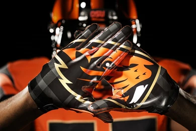 New Oregon State University Logo