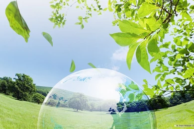 Free Nature Wallpapers Wonderful Green Nature Wallpapers 2 ...