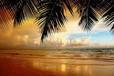 Hd Backgrounds Wallpapers