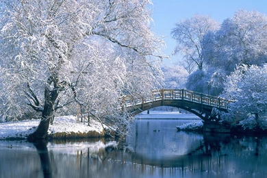 Winter Desktop Backgrounds 28336