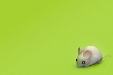 Mouse Wallpaper. By Mikehandsdown On DeviantArt