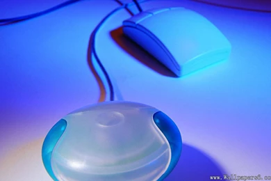 Mouse － Computers Wallpapers   Free Download Wallpapers,windows ...