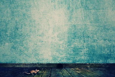 Mouse And Cookies Wallpapers, Mouse And Cookies Backgrounds, Mouse ...