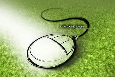 Mouse Wallpapers And Images   Wallpapers, Pictures, Photos