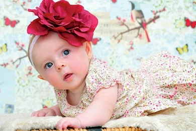 Cute And Lovely Baby Pictures Free Download Image Wallpapers