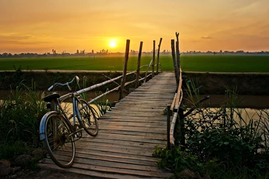 Wood Bridge Bicycle Sunset HD Wallpapers