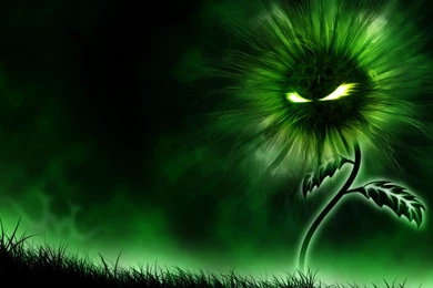 Cool Wallpapers HD Perfect 85100g   Wallpapers HD Fix