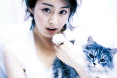 Kim Tae Hee Wallpapers