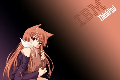 Requested] Holo/Horo IBM Thinkpad Wallpapers By MoopMASTER2000 On ...