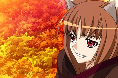 Download Spice And Wallpapers 1920x1080