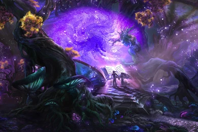 Reading The Book In The Magic Forest HD Desktop Wallpapers ...