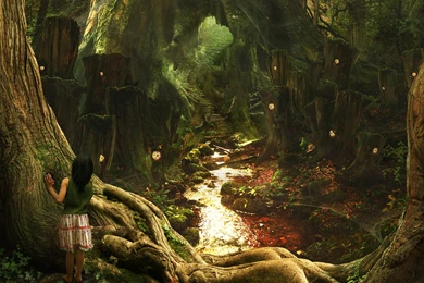 Magic Forest Backgrounds
