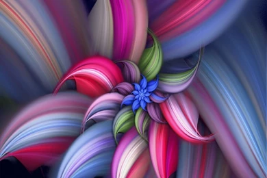 Best Phone Wallpapers   50 Free Download