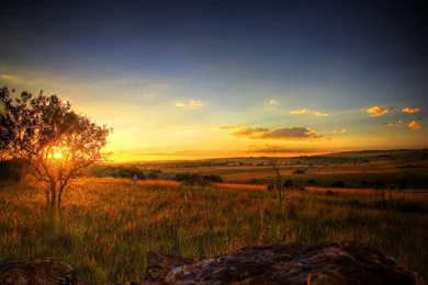 Hate Crimes Against People With Disabilities, Serene Early Spring ...