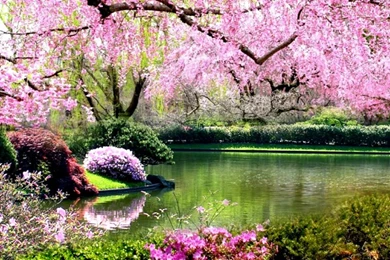 Springtime Wallpapers