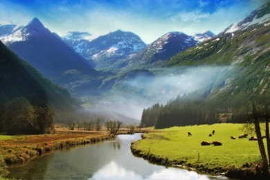 Landscape Photograph   Green Plants And Flowing River, Snow Is Not ...