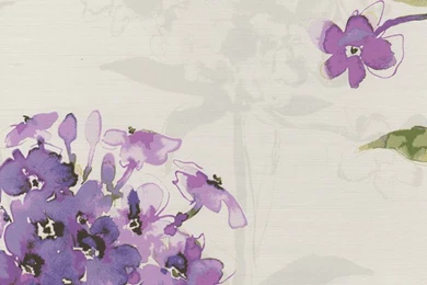 Purple Hydrangeas Floral Wallpapers By Seabrook