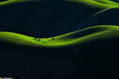 Grassland In Early Spring － Landscape Wallpapers   Free Download ...