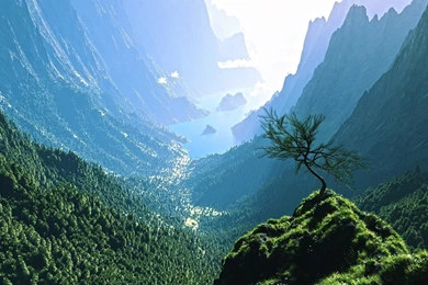 Free Live Wallpapers Desktop