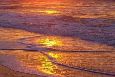 Free Download Ocean Beach Sunset HD iPhone 5 Wallpapers Part One ...