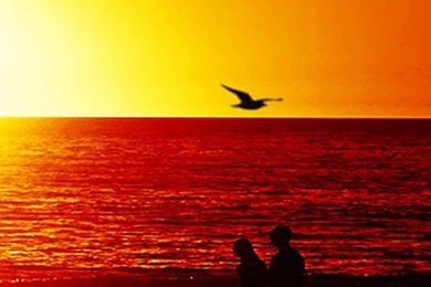 Free Download Spring Sunset iPhone 5 HD Wallpapers