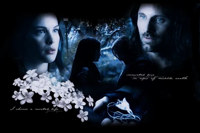 Arwen And Aragorn   Aragorn And Arwen Wallpapers (7610720)   Fanpop