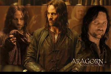 Aragorn   The Nine Walkers Wallpapers (22633463)   Fanpop