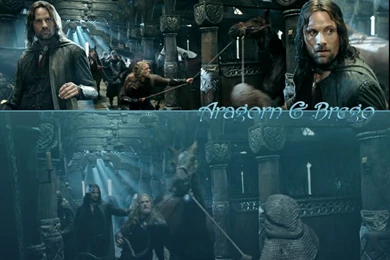 Aragorn   The Nine Walkers Wallpapers (22633498)   Fanpop