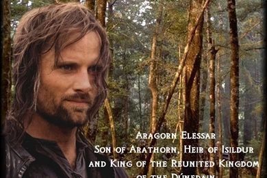Aragorn Quotes. QuotesGram