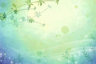 Flower, Swirl, Curve, Petal, Blossom, Vector, 1920x1080 HD ...