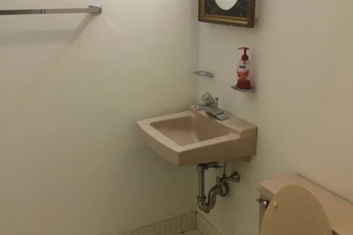 Ugly Rental Apt Half Bath