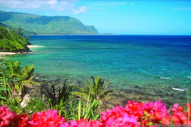 Hawaii Phone Wallpapers : Nature Wallpapers   Semrawut