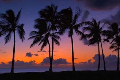 Hawaii, Beaches, Wallpaper, Discount, Images (