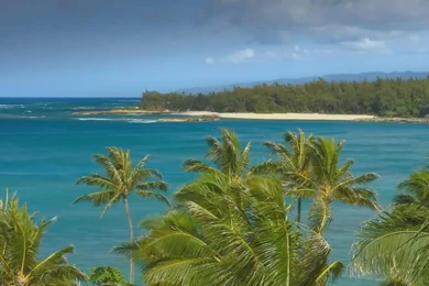 Hawaii Live WallPaper Android Apps On Google Play