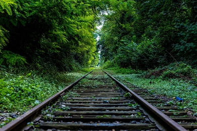 High Definition Wallpapers With Train Railway In Nature Forest