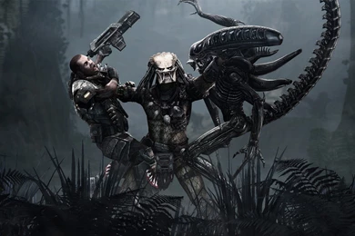 Visual, Paradox, Predator, Wallpapers, Aliens, Description (