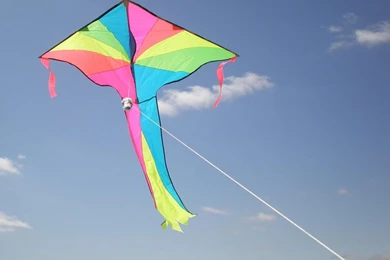 2016 Makar Sankranti Happy Lohri Kites Images Pictures Wallpapers ...